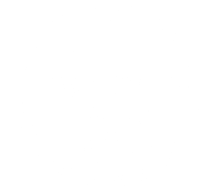 LOGO CIRCULAR APV